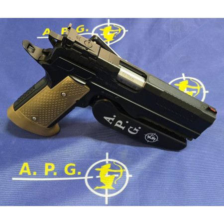 A.P.G. FOR M-ARMS MOD. AION