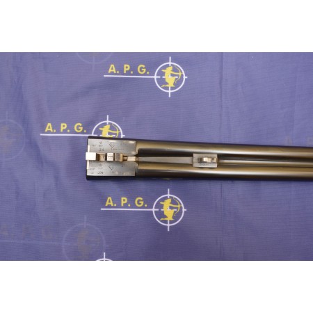 DOPPIETTA WEBLEY & SCOTT  CAL. 12